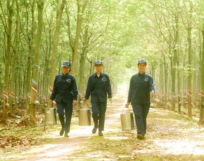 Công đoàn Cao su Việt Nam phát triển đoàn viên đạt 223,56% chỉ tiêu